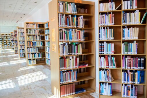 Bibliotecarul, ca personaj de poveste